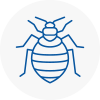 Bed Bug Extermination In Urmston